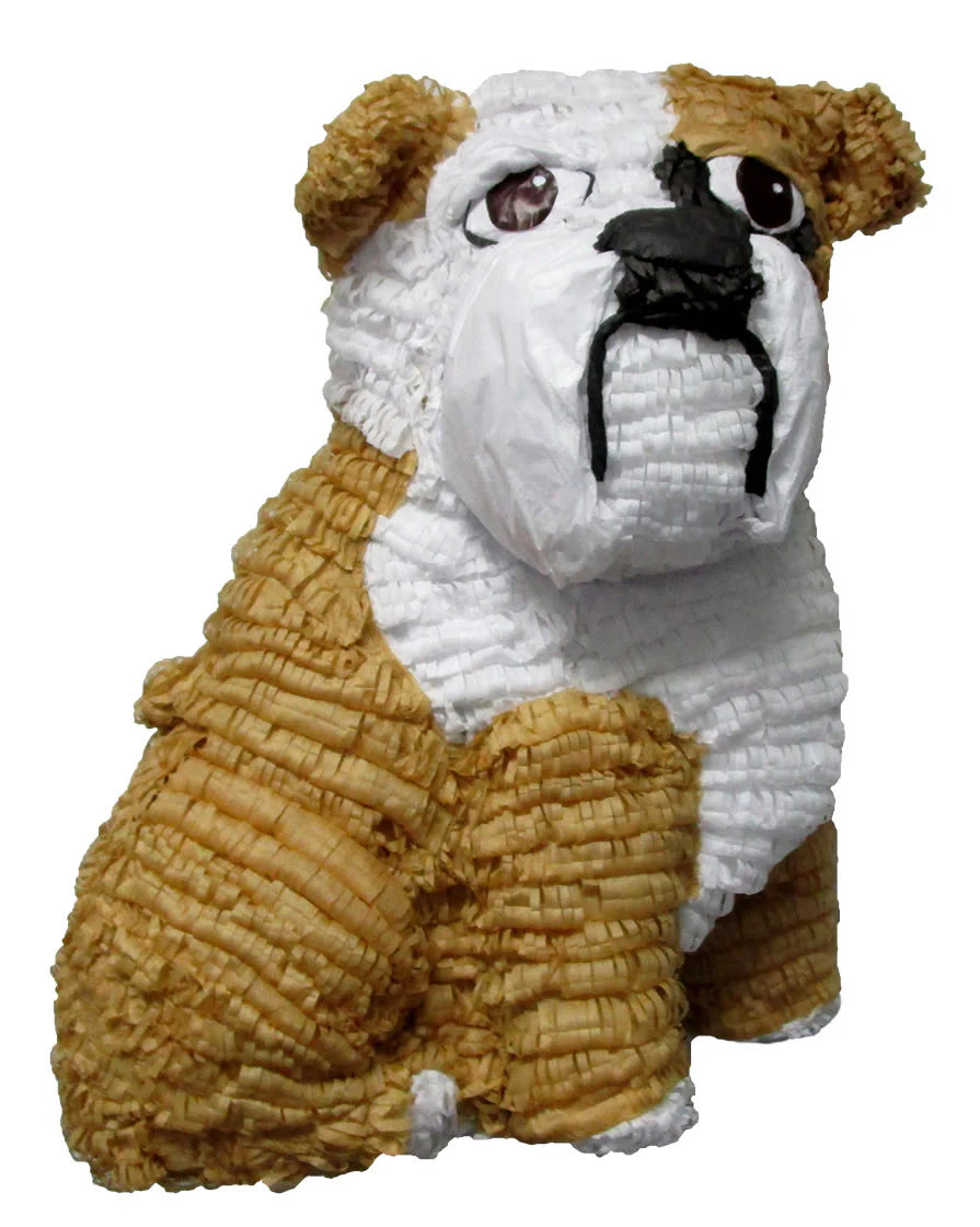 Bulldog Custom Pinata
